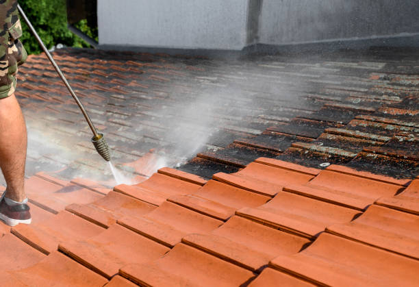 Best Pressure Washing Company Near Me  in St Paris, OH