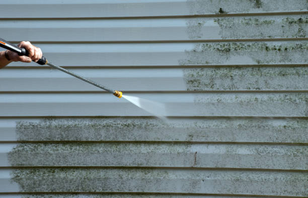 Best Deck Pressure Washing  in St Paris, OH