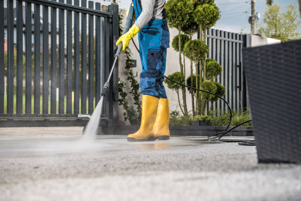 Best Local Pressure Washing Services  in St Paris, OH