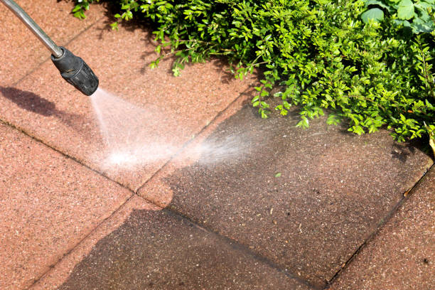Best Exterior Home Cleaning  in St Paris, OH